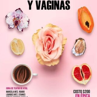 Entre vulvas y vaginas