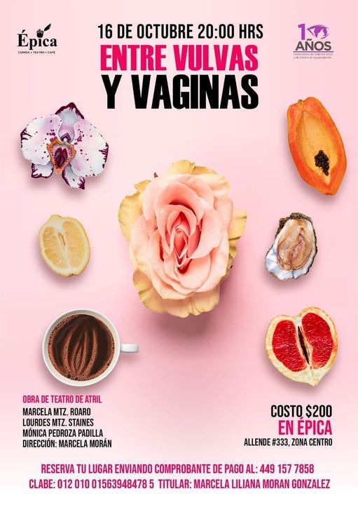 Entre vulvas y vaginas